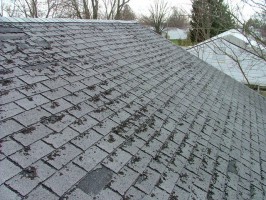 Blistering-Deterioration-Cracking-Shingles.jpg
