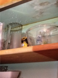 That Humidifier Can Do More Harm Than Good