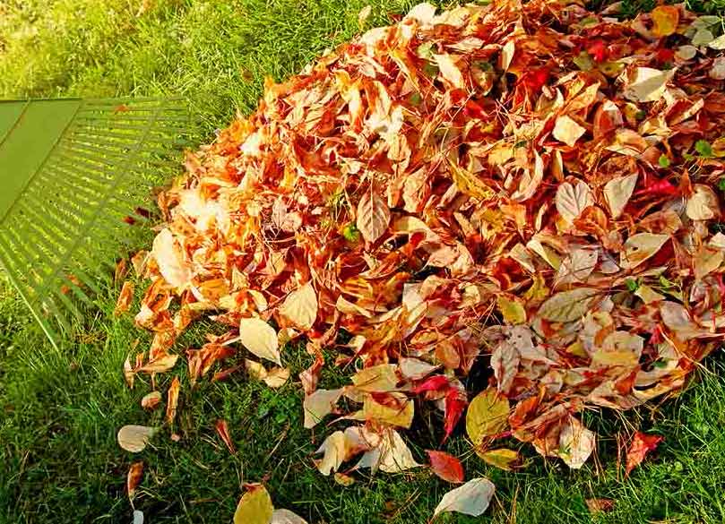 fall lawn care tips from muth company fall lawn care tips from muth company