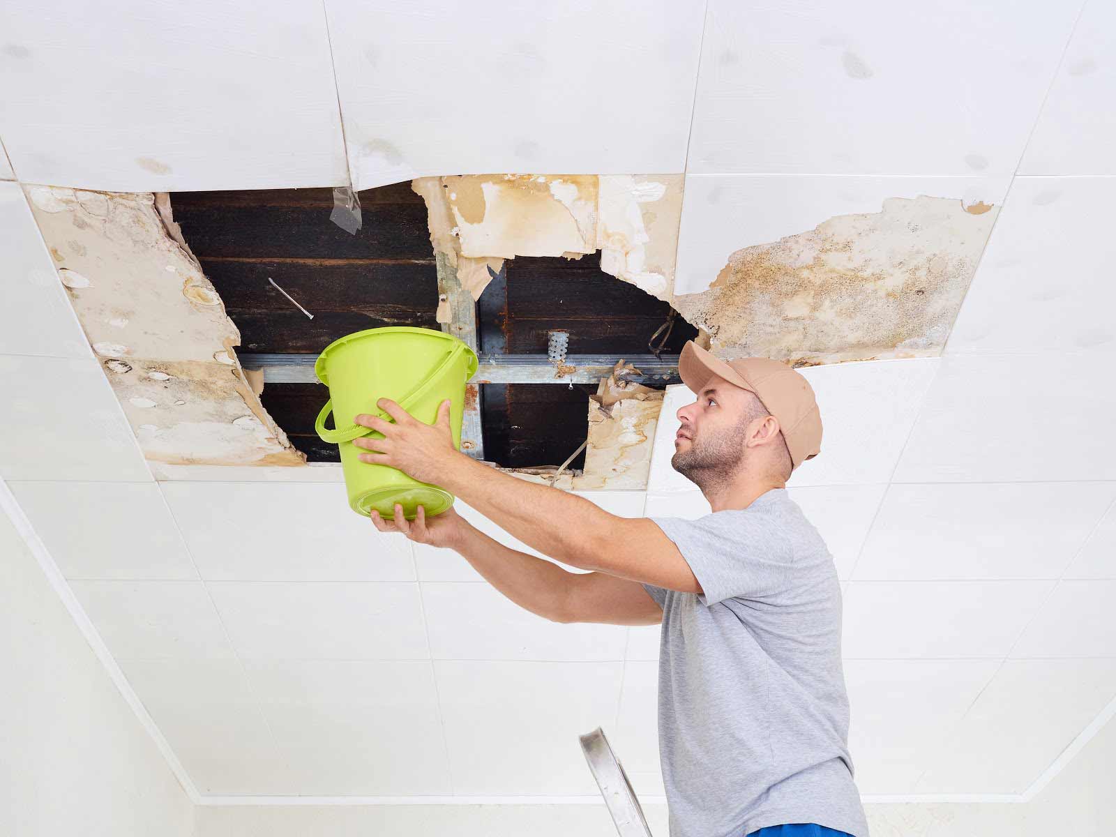 The Usual Suspects Common Causes of Roof Leaks
