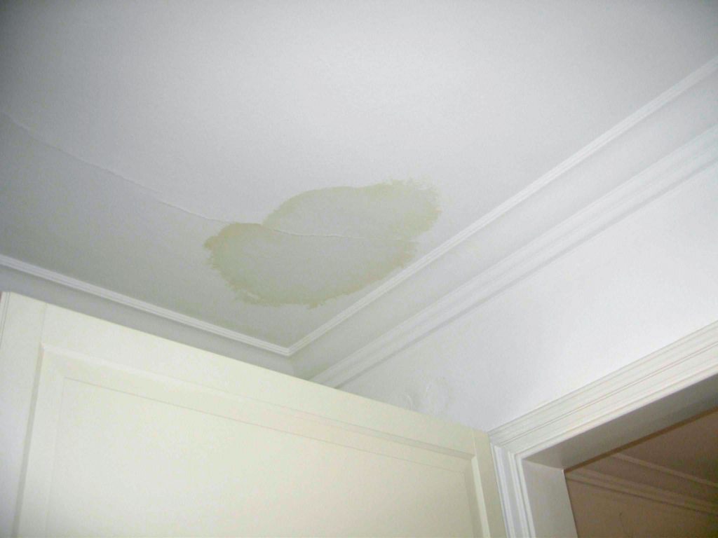 Ceiling Archives Muth And Company Roofing