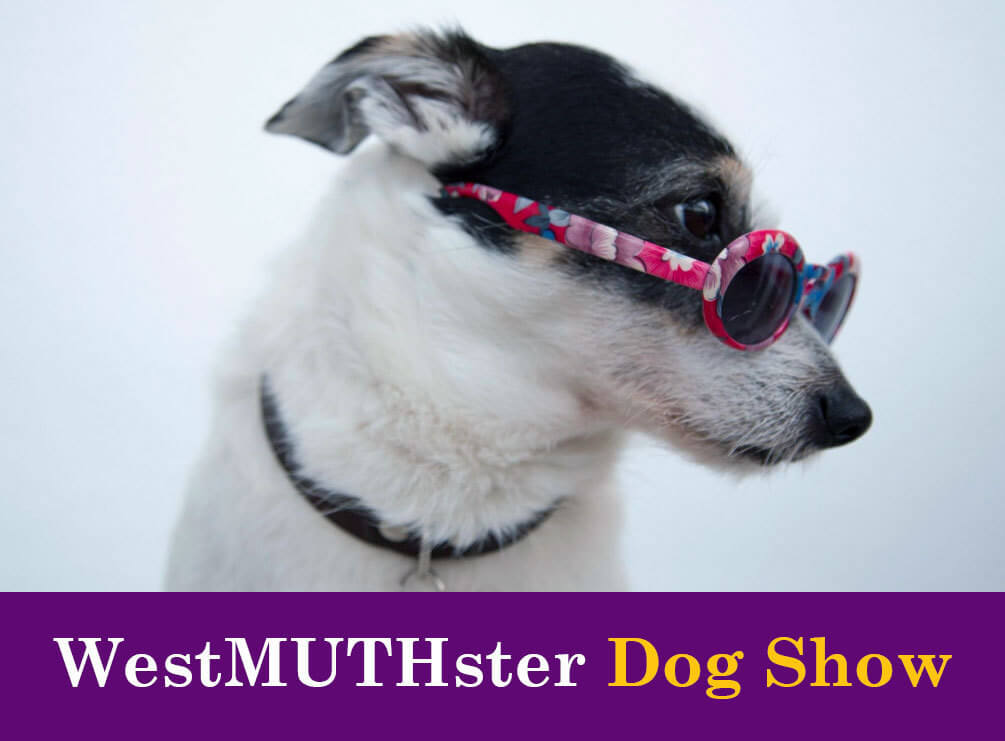 Roofing Contractor Westerville, OH Muth & Company Roofing